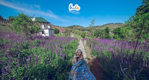thung lũng hoa Tà Nung